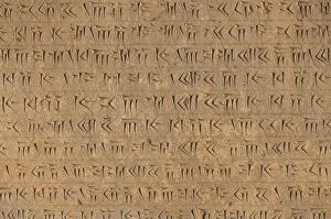 Images Dated 10th May 2013: Cuneiform script in persepolis, Iran