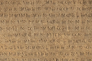 Images Dated 10th May 2013: Cuneiform script in persepolis, Iran