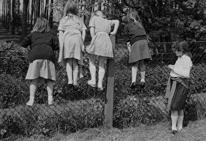 Images Dated 18th July 2008: Curious Schoolgirls