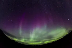 Images Dated 28th August 2011: Curtains of Northern lights, Polar Aurorae, Aurora Borealis, green, pink, purple, near Whitehorse