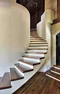Organic Gallery: Curving Staircase