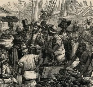 Bahamas Prints: Customers Conversing with Fruit Sellers