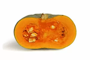 Images Dated 29th October 2011: Cut open squash of the Blue Hungarian, Bleu dHongrie variety