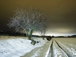 Landscaped Gallery: Cut road covered of snow close to a few fields in the night