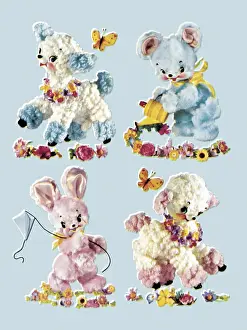 Cute Animals
