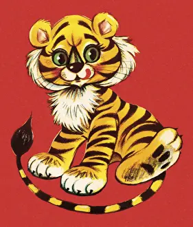 Cute Young Tiger