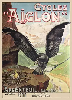 Nest Prints: Cycles Aiglon