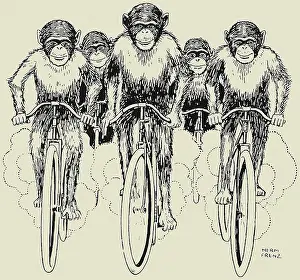 Bicycles Prints: Cycling Chimps