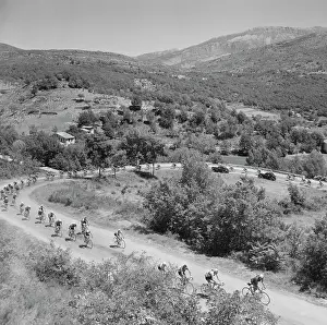 Cyclists Competing in the Tour de France