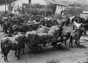 Huty24669 Prints: Czech Mobilisation