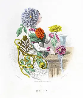 Grandville Prints: Dahlia - Stunning Hand-colored plate from 'Les Fleurs Animees by J.J.Grandville 1867