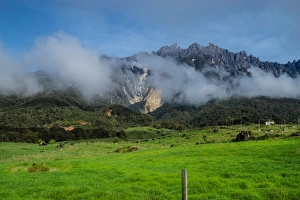 Visit Collection: Dairy farm in Kundasang, Sabah