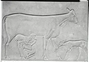 Princess Prints: Dairy Scene From Ancient Egypt