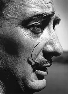 Personali Prints: Dali In Profile