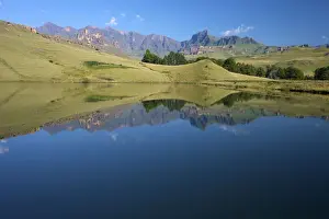 Drakensberg Prints: A dam reflecting the Drakensberg mountains, Drakensberg Park, KwaZulu-Natal, South Africa