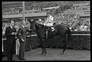 Damascus in Winner's Circle