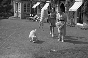 The Dame And Her Dogs