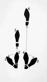 Number Prints: Dance Steps for The Hustle