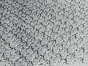 Czechoslovakia Prints: Dancers in Exquisite Formation