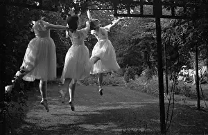 In Line Prints: Dancing In The Garden
