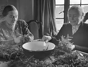 Rationing Prints: Dandelion Salad