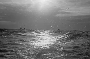 Dangerous Waters