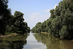 Danube Prints: Danube Delta Biosphere Reserve, near Tulcea, Romania