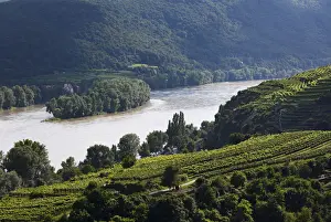 Danube Prints: Danube river near Mautern, Hundsheim village