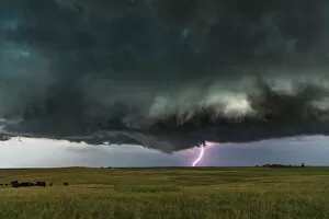 Lightning Storms Gallery: Dark and Low severe thunderstorm, North Dakota. USA