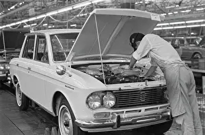 Datsun Plant