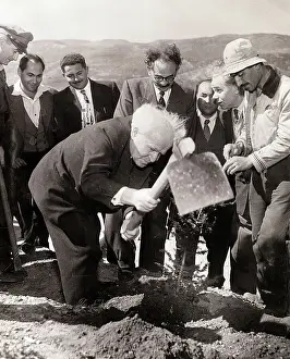 Planting Prints: David Ben-Gurion Planting Tree