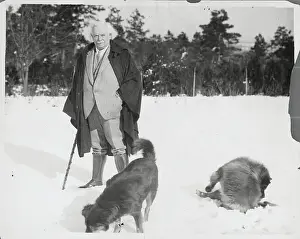 David Lloyd George with His Dogs