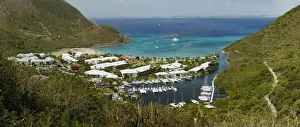 Tropical Tree Gallery: Day time at Rocher de l ansi Marcel