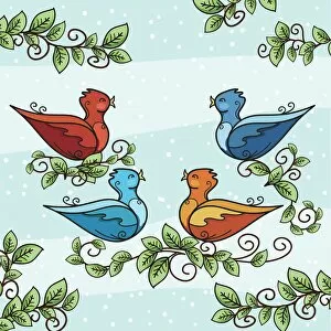 Images Dated 3rd December 2018: The Twelve days Of Christmas. Four Calling Birds