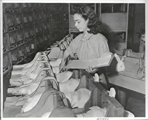DDT Researcher Working with Chemical in Laboratory