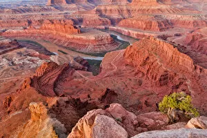 Images Dated 8th October 2017: Dead Horse Point in early morning, Dead Horse State Park, Moab, Utah, USA