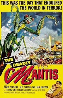Mantis Prints: The Deadly Mantis