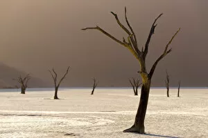 Images Dated 14th November 2015: Deadvlei #2
