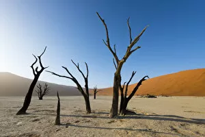 Images Dated 15th November 2015: Deadvlei #5