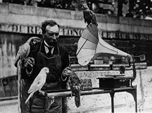 Historical Central Press Print Prints: Deaf As A Parrot