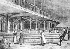 Dean Mills, The Doubling Room Illustration