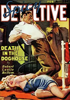 Whip Prints: Death on the Doghouse