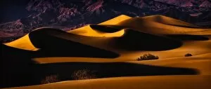 Desert Oasis Collection: Death Valley Sand Dunes in Last Light