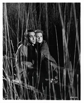 Lac0031 Prints: Deborah Kerr And Jason Robards Jr In The Journey