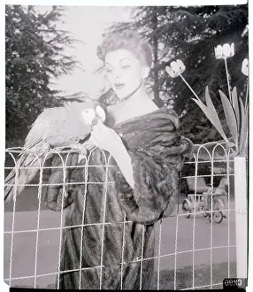 Macaw Prints: Debra Paget Playing with Her Parrot