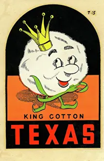 Stylize Prints: Texas