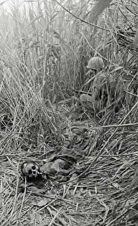 Grassland Prints: Decomposed Remains and Items in Vietnamese Grassland