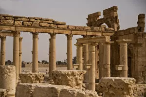 Images Dated 25th October 2008: Decumanus Maximus, Palmyra