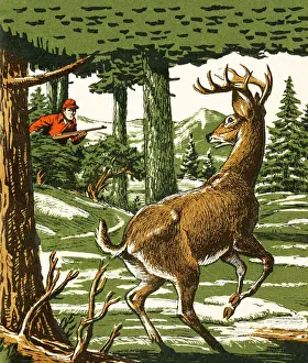 Deer and Hunter in the Woods