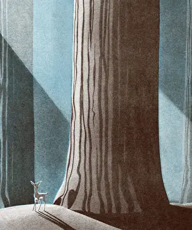 Deer in Front of Large Tree